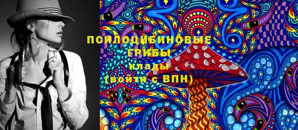 прущие грибы Алексеевка