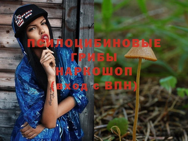 прущие грибы Алексеевка