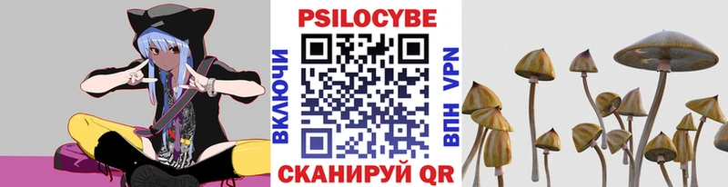 Галлюциногенные грибы Psilocybe Устюжна