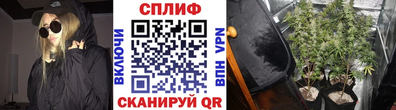 Марихуана тримм  Устюжна 